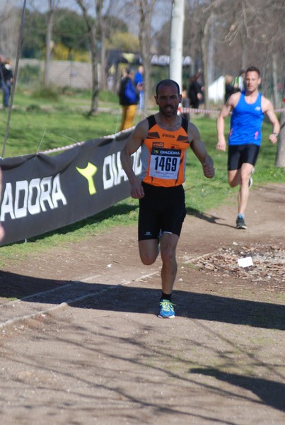 Corri per il Parco Alessandrino (08/03/2015) 00006