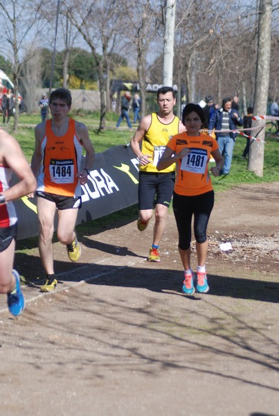 Corri per il Parco Alessandrino (08/03/2015) 00012