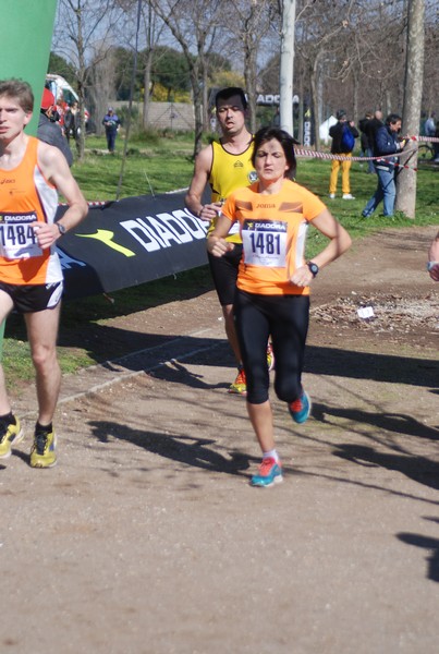 Corri per il Parco Alessandrino (08/03/2015) 00014