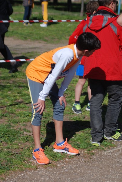 Corri per il Parco Alessandrino (08/03/2015) 00089