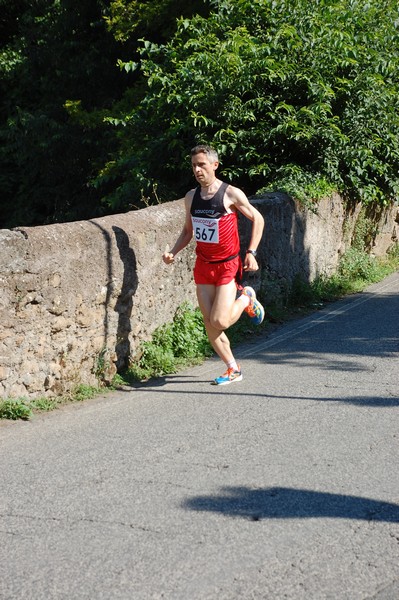 Maratonina di Villa Adriana (31/05/2015) 00001