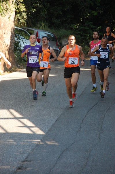 Maratonina di Villa Adriana (31/05/2015) 00015