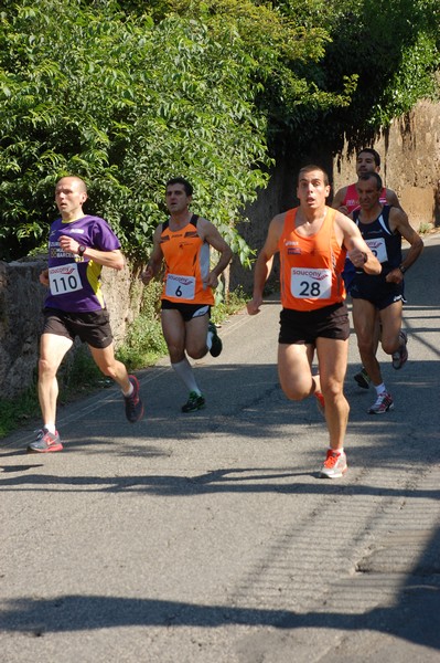Maratonina di Villa Adriana (31/05/2015) 00021