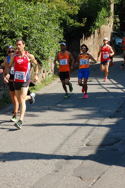 Maratonina di Villa Adriana (31/05/2015) 00026