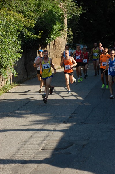 Maratonina di Villa Adriana (31/05/2015) 00040