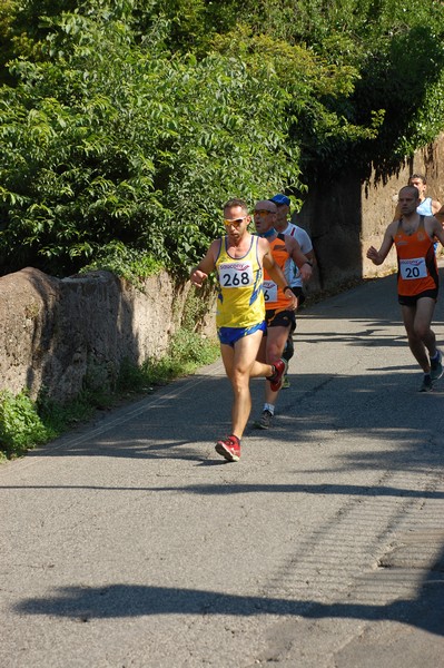 Maratonina di Villa Adriana (31/05/2015) 00042