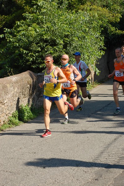 Maratonina di Villa Adriana (31/05/2015) 00043