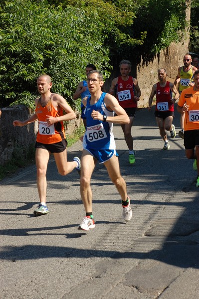 Maratonina di Villa Adriana (31/05/2015) 00045