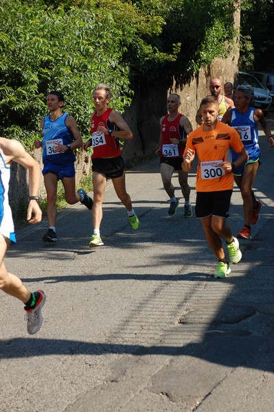 Maratonina di Villa Adriana (31/05/2015) 00046