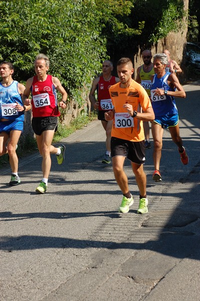 Maratonina di Villa Adriana (31/05/2015) 00047