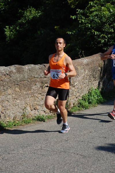 Maratonina di Villa Adriana (31/05/2015) 00056