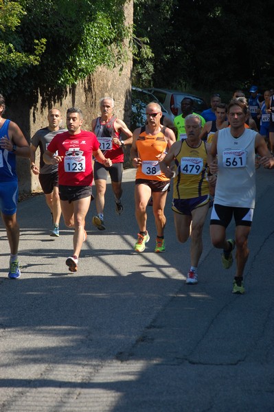 Maratonina di Villa Adriana (31/05/2015) 00067