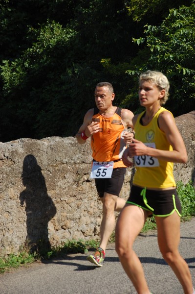 Maratonina di Villa Adriana (31/05/2015) 00084