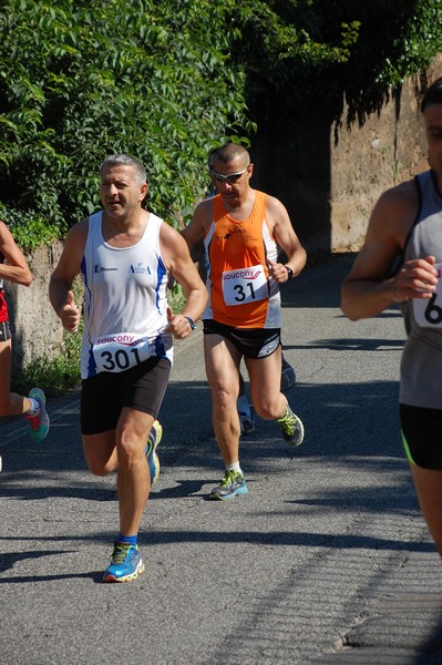 Maratonina di Villa Adriana (31/05/2015) 00104