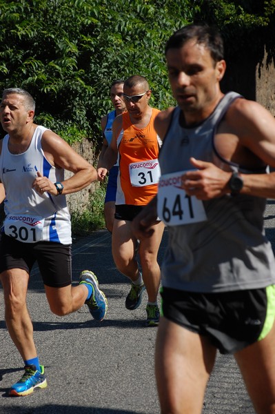 Maratonina di Villa Adriana (31/05/2015) 00105