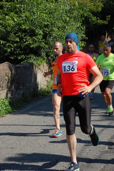 Maratonina di Villa Adriana (31/05/2015) 00119