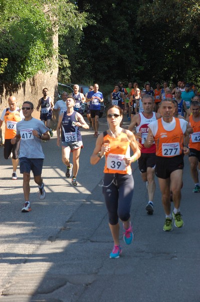 Maratonina di Villa Adriana (31/05/2015) 00122