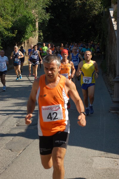 Maratonina di Villa Adriana (31/05/2015) 00129