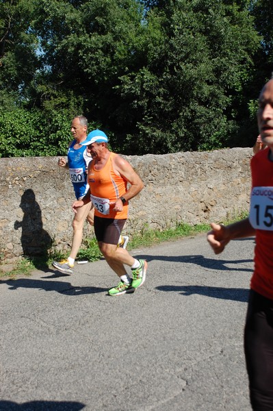 Maratonina di Villa Adriana (31/05/2015) 00147