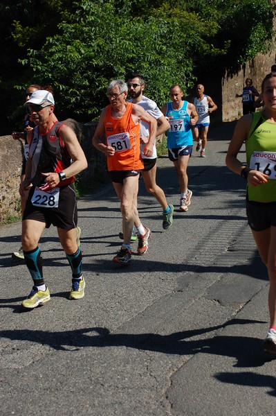 Maratonina di Villa Adriana (31/05/2015) 00168
