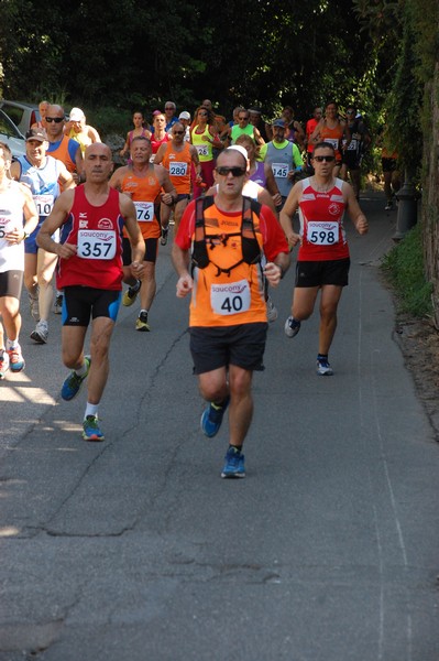 Maratonina di Villa Adriana (31/05/2015) 00176