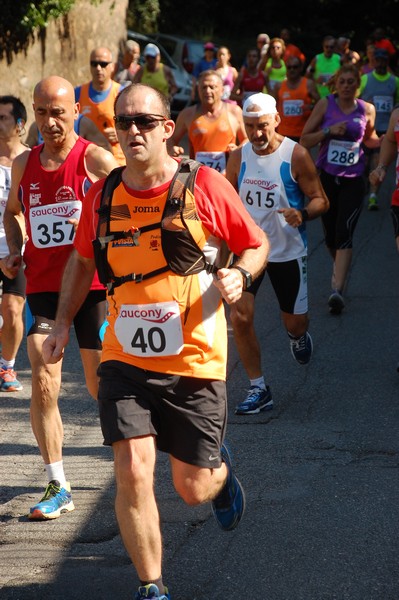 Maratonina di Villa Adriana (31/05/2015) 00180