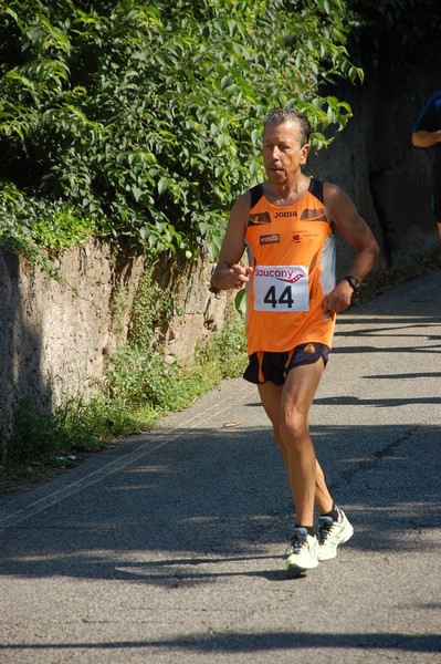 Maratonina di Villa Adriana (31/05/2015) 00197
