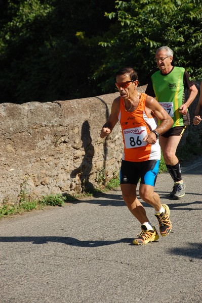 Maratonina di Villa Adriana (31/05/2015) 00200