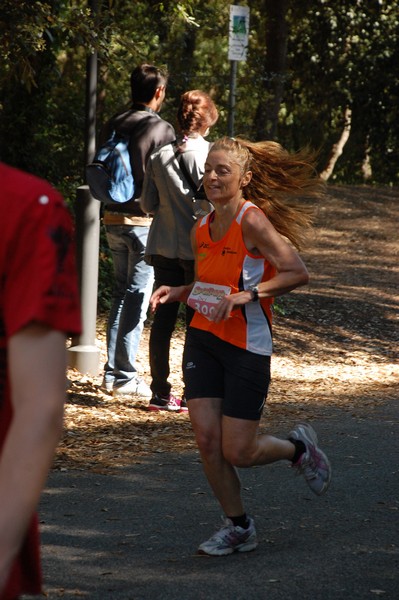 Rincorriamo la pace con 