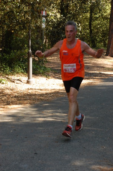Rincorriamo la pace con 
