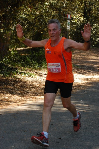 Rincorriamo la pace con 