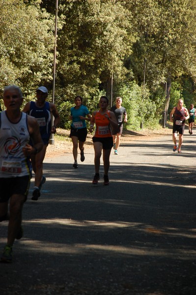 Rincorriamo la pace con 