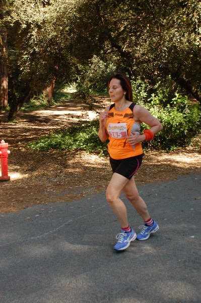 Rincorriamo la pace con 