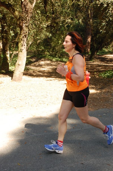 Rincorriamo la pace con 
