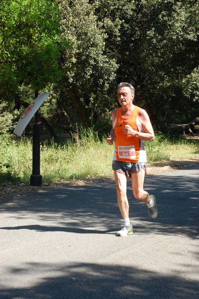 Rincorriamo la pace con 