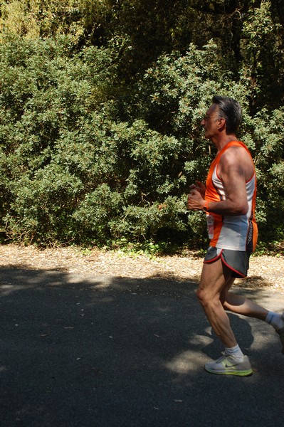 Rincorriamo la pace con 