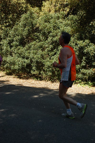 Rincorriamo la pace con 