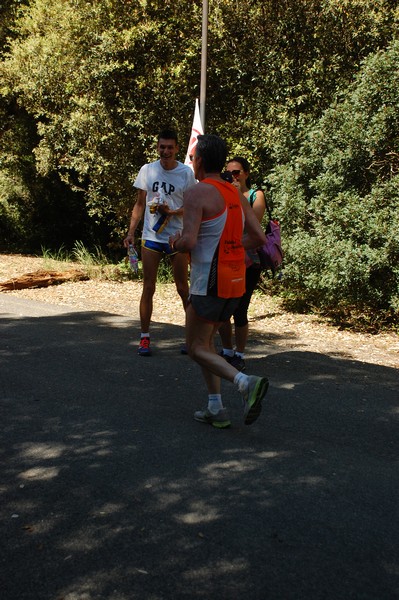 Rincorriamo la pace con 