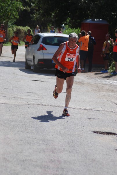 Corsa delle 3 Ville (C.E.) (06/09/2015) 00040