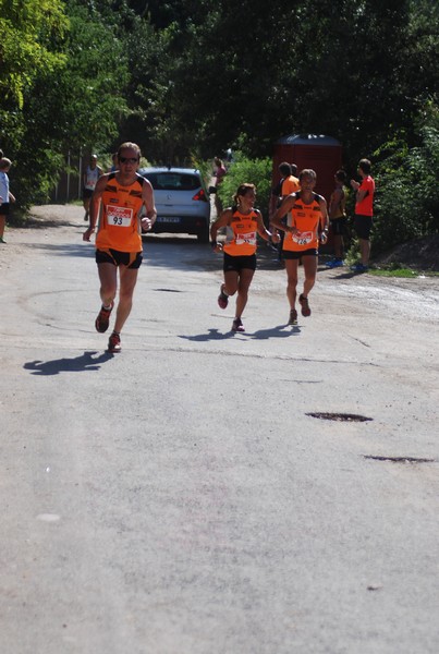 Corsa delle 3 Ville (C.E.) (06/09/2015) 00048