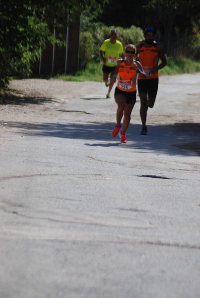 Corsa delle 3 Ville (C.E.) (06/09/2015) 00058