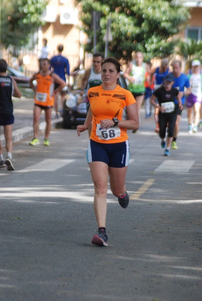 Per Antiqua Itinera (03/05/2015) 00154