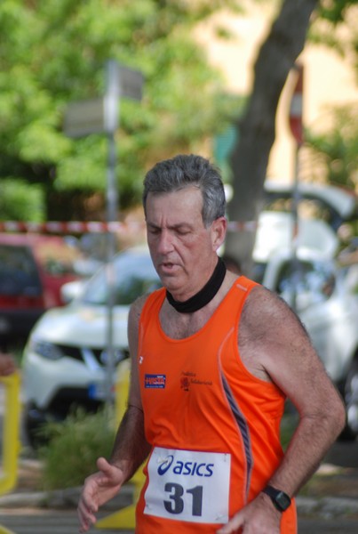 Per Antiqua Itinera (03/05/2015) 00167