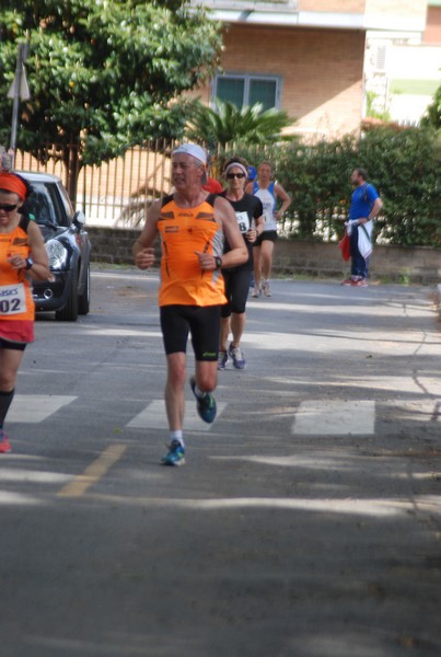 Per Antiqua Itinera (03/05/2015) 00173