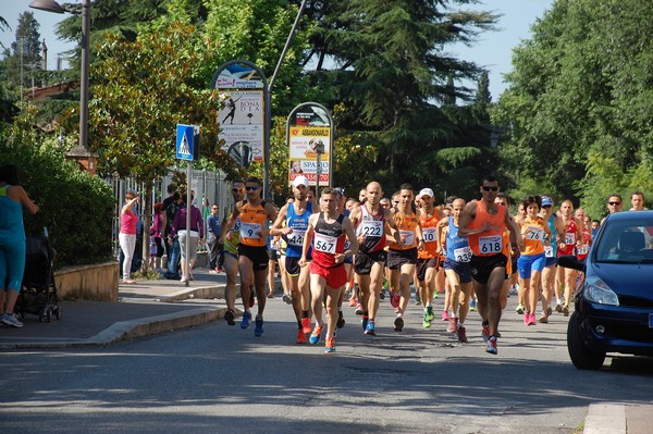 Maratonina di Villa Adriana (31/05/2015) 00010