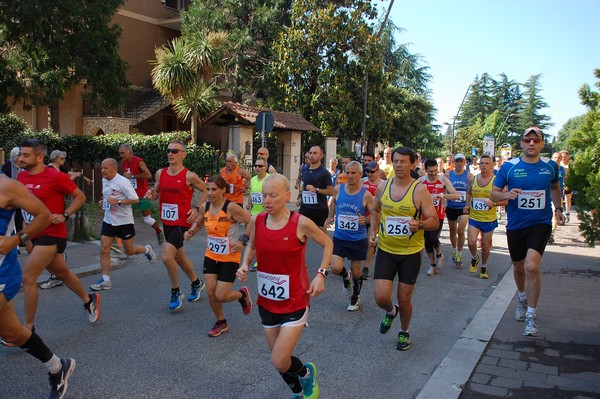 Maratonina di Villa Adriana (31/05/2015) 00039