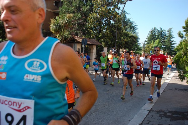 Maratonina di Villa Adriana (31/05/2015) 00087