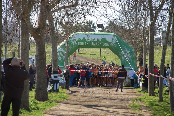 Corri per il Parco Alessandrino (08/03/2015) 00001