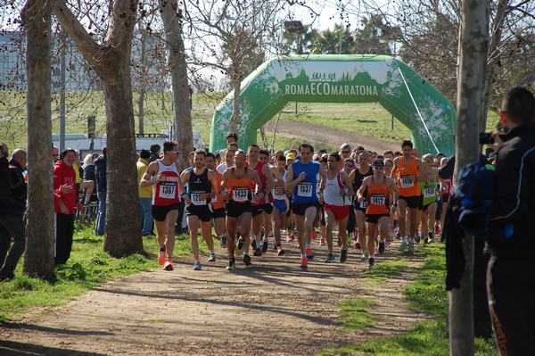 Corri per il Parco Alessandrino (08/03/2015) 00004