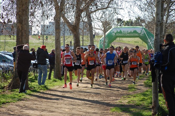 Corri per il Parco Alessandrino (08/03/2015) 00008